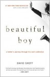 Beautiful Boy - David Sheff