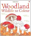 Woodland Wildlife to Colour - Susan Meredith