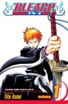 Bleach, Volume 1: Strawberry and the Soul Reapers - Tite Kubo