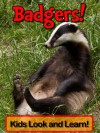 Badgers! Kids look and learn. - Becky Wolff