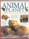 Animal Planet: Illustrated Wildlife Encyclopedia - Michael Chinery