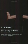 In A Country Of Mothers - A.M. Homes