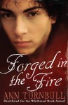 Forged in the Fire - Ann Turnbull