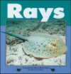 Rays - Sally M. Walker