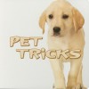 Pet Tricks (Rourke Board Books) - Meg Greve