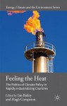 Feeling the Heat: The Politics of Climate Policy in Rapidly Industrializing Countries (Energy, Climate and the Environment) - Ian Bailey, Hugh Compston