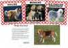 Dogs Set 2 - Stuart A. Kallen