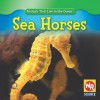 Sea Horses - Valerie J. Weber