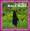 The Wonder of Black Bears - Gareth Stevens Publishing, Lynn Rogers