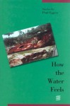 How the Water Feels: Stories - Paul Eggers