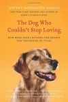 The Dog Who Couldn't Stop Loving: A 40,000-Year Romance - Jeffrey Moussaieff Masson