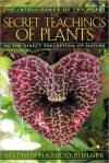 The Secret Teachings of Plants: The Intelligence of the Heart in the Direct Perception of Nature - Stephen Harrod Buhner