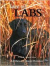 Love of Labs: The Ultimate Tribute to Labrador Retrievers - Todd R. Berger