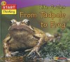 Life Cycles from Tadpole to Frog - Sally Hewitt