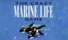 The Crazy Marine Life Game (Crazy Puzzle Games) - Rita Warner, Price Stern Sloan Publishing