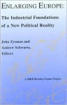 Enlarging Europe: The Industrial Foundations of a New Political Reality - John Zysman, Andrew Schwartz