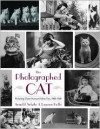 The Photographed Cat: Picturing Human-Feline Ties, 1890-1940 - Lauren Rolfe, Arnold Arluke