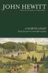 A North Light: Twenty-Five Years in a Municipal Art Gallery - John Hewitt, Kathryn White, Frank Ferguson