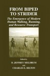 From Biped to Strider: The Emergence of Modern Human Walking, Running and Resource Transport - D. Jeffrey Meldrum