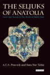 The Seljuks of Anatolia: Court and Society in the Medieval Middle East (Library of Middle East History) - A.C.S. Peacock, Sara Nur Yıldız