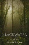 Blackwater: A Tale of Southern Horror - Donna Burgess