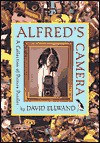 Alfred's Camera: A Collection of Picture Puzzles - David Ellwand