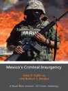 Mexico's Criminal Insurgency: A Small Wars Journal-El Centro Anthology - John P. Sullivan, Robert J. Bunker