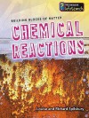 Chemical Reactions - Louise Spilsbury, Richard Spilsbury