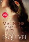 Malinche. Malarka słów - Laura Esquivel