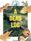 A Dead Log - Jen Green