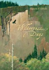 Wilderness Days (Fesler-Lampert Minnesota Heritage) - Sigurd F. Olson