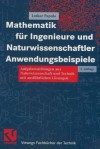 Mathematik Für Ingenieure Und Naturwissenschaftler. Anwendungsbeispiele - Lothar Papula