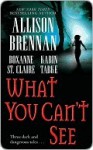 What You Can't See (Includes: Bullet Catcher, #5; Seven Deadly Sins Prequel) - Allison Brennan, Roxanne St. Claire, Karen Tabke