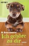 Ich gehöre zu dir - W. Bruce Cameron