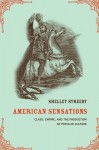 American Sensations: Class, Empire, and the Production of Popular Culture - Shelley Streeby