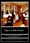 Degas In New Orleans: Encounters in the Creole World of Kate Chopin and George Washington Cable - Christopher E.G. Benfey