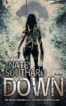 Down - Nate Southard