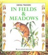 In Fields & Meadows - Tessa Paul