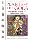 Plants of the Gods: Their Sacred, Healing, and Hallucinogenic Powers - Richard Evans Schultes, Albert Hofmann, Christian Rätsch