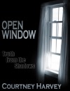 Open Window: Truth from the Shadows - Courtney Harvey, Stephanie Jarrach Pugliese, Derek Hall, Amanda Prouty