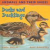 Ducks and Ducklings - Anita Ganeri, Ann Axworthy