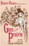 Gem of the Prairie: An Informal History of the Chicago Underworld - Herbert Asbury, Betty J. Craige