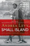Small Island - Andrea Levy