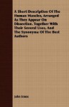 A Short Description of the Human Muscles, Arranged as They Appear on Dissection. Together with Their Several Uses, and the Synonyma of the Best Authors - John Innes