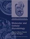 Molecular and Cellular Glycobiology (Frontiers in Molecular Biology) - Minoru Fukuda, Ole Hindsgual