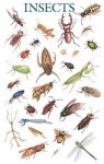 Insects Poster (Dover Posters) - Dover