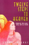 Twelve Steps to Heaven: Introducing: Twin Flames, Angels and Soul Wisdom - Jayne Chilkes, Charlotte Clarke