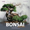 Landschaften gestalten mit Bonsai. Anleitung zu 17 Bonsai-Miniaturen - Su Chin Ee, Claudia Arlinghaus