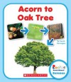 Acorn to Oak Tree (Rookie Read-About Science) - Lisa M Herrington