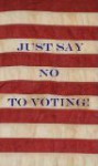 Just Say No to Voting - Daphne Brooks